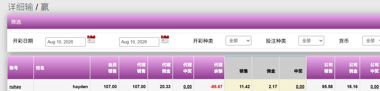 第四章详细输赢报表实测截图